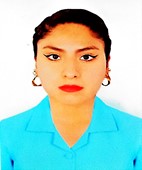 LIC. BRENDA L. ÑACA TICONA